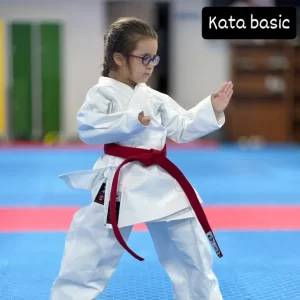 Kimono Kata basic
